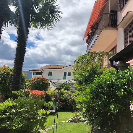 Palm Garden